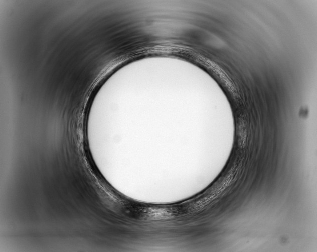 X0000103440794200810101104