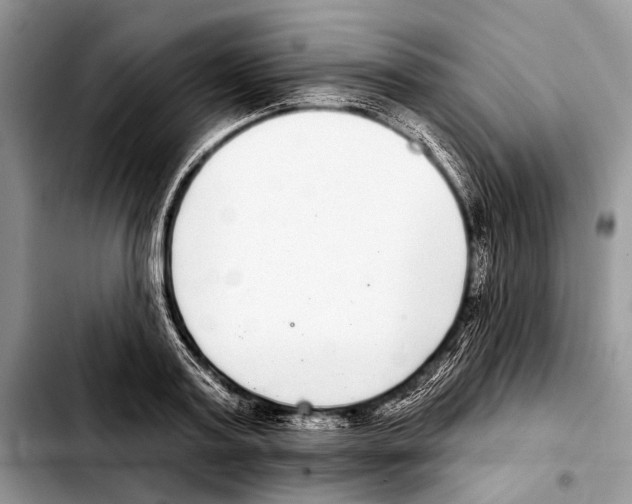 X0000103440795200810101104