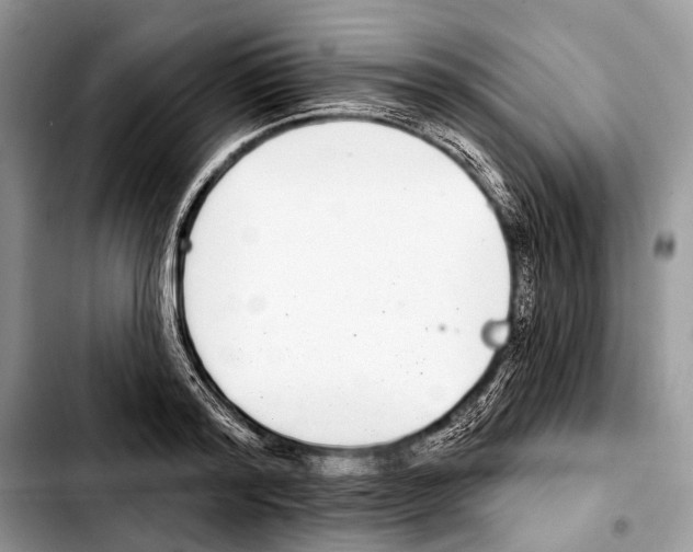 X0000103440796200810101104