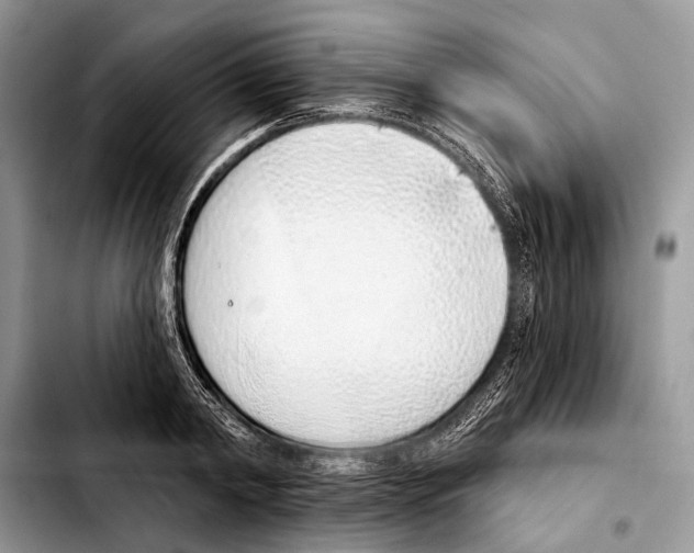 X0000103440798200810101104