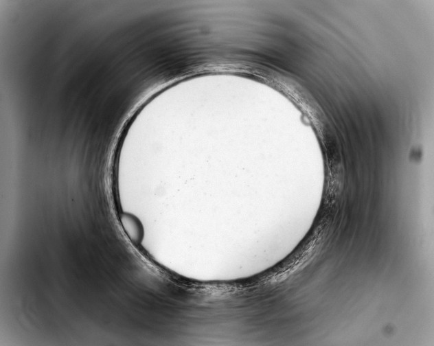 X0000103440803200810101104