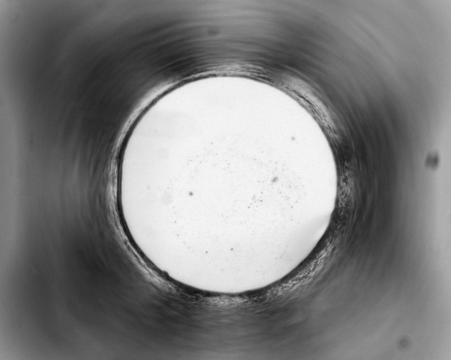 X0000103440804200810101104