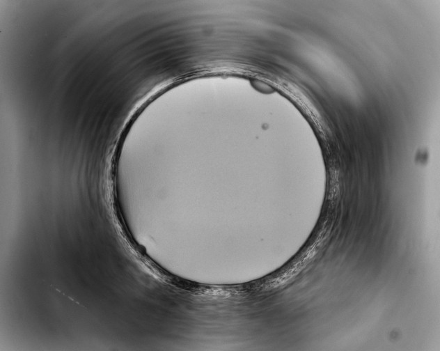X0000103440806200810101104