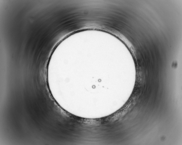 X0000103440807200810101104