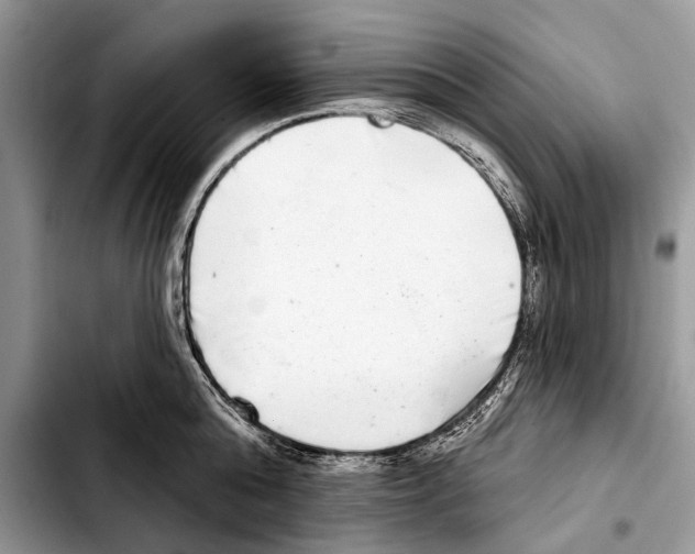 X0000103440808200810101104
