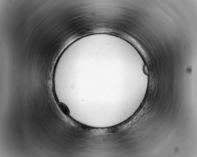 X0000103440810200810101104