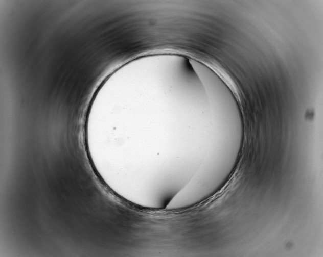 X0000103440813200810101104