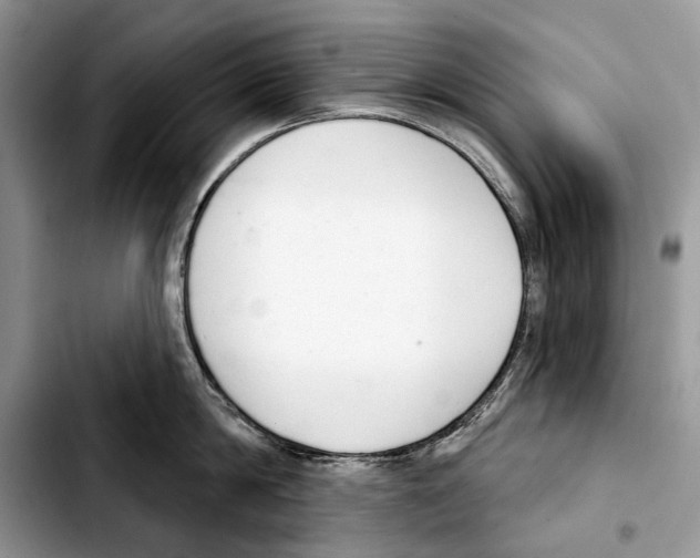 X0000103440814200810101104