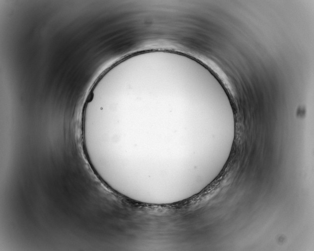 X0000103440815200810101104