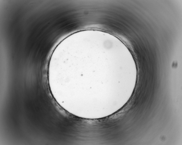 X0000103440816200810101104