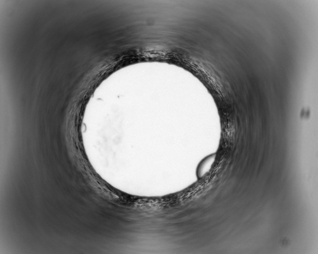 X0000103440817200810101103