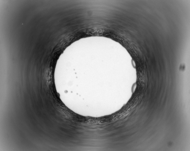 X0000103440818200810101103