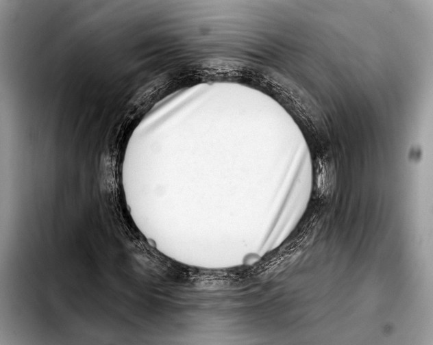 X0000103440819200810101103