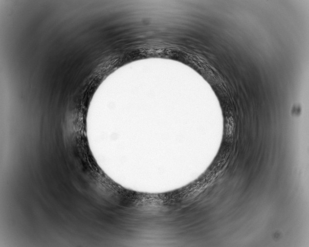 X0000103440820200810101103