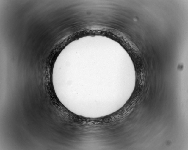 X0000103440821200810101103