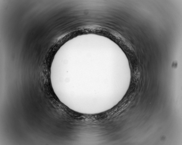 X0000103440822200810101103