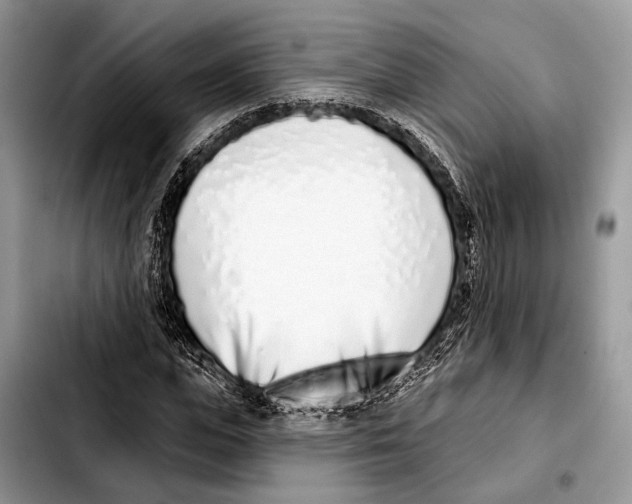 X0000103440823200810101103