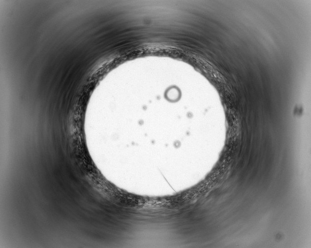 X0000103440824200810101103