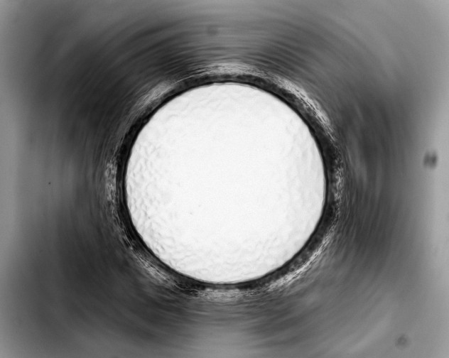 X0000103440825200810101103