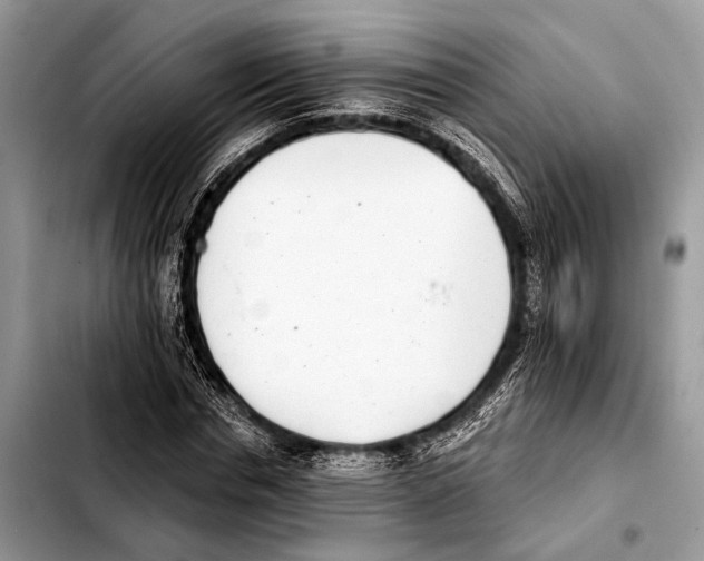 X0000103440826200810101103