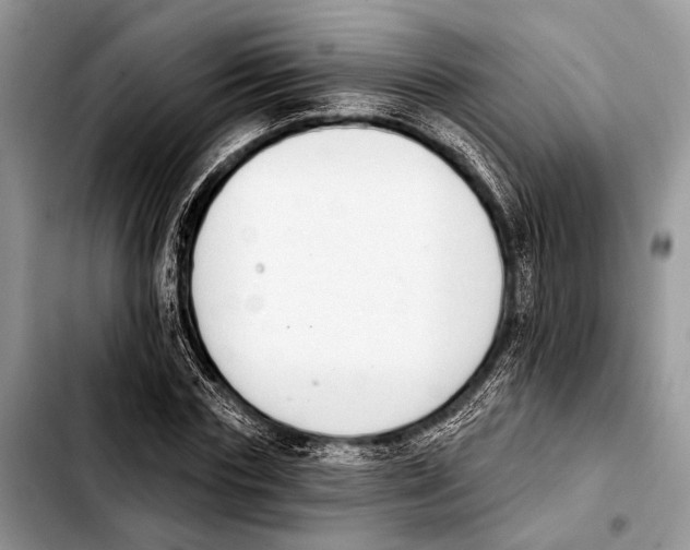 X0000103440827200810101103