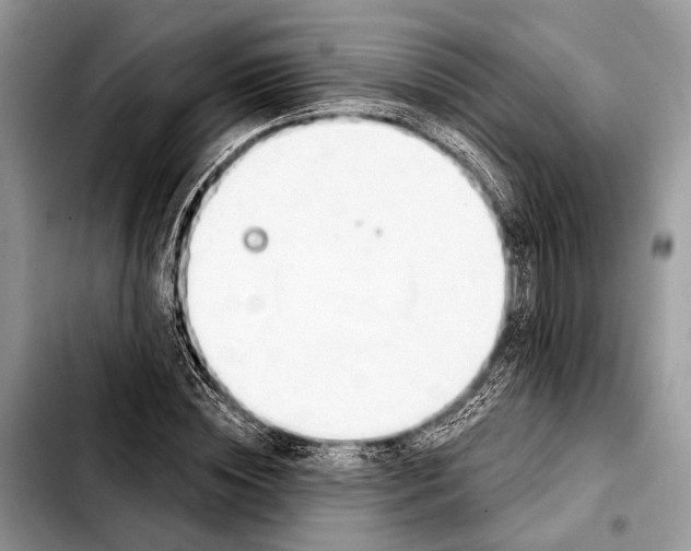 X0000103440828200810101103