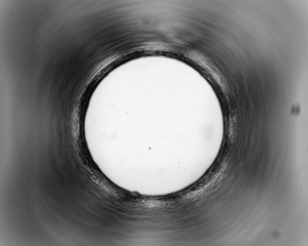 X0000103440829200810101103