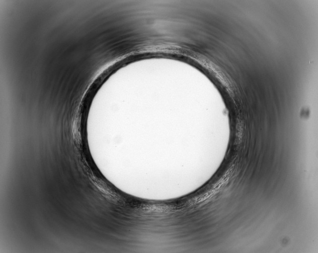 X0000103440830200810101103