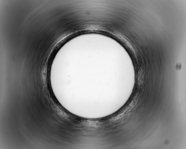 X0000103440831200810101103