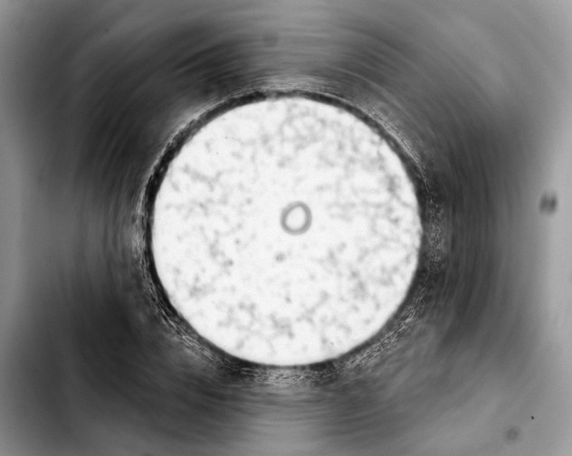 X0000103440832200810101103