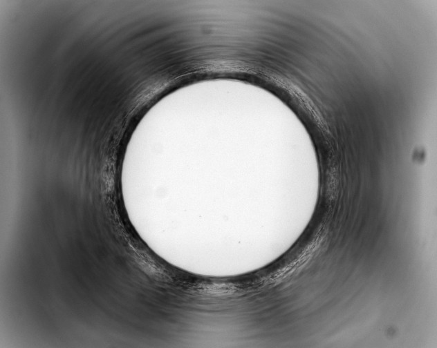 X0000103440833200810101103