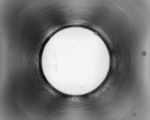 X0000103440834200810101103