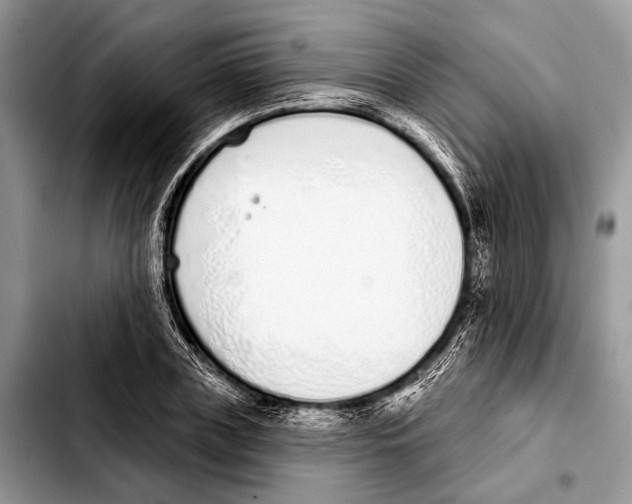X0000103440835200810101103