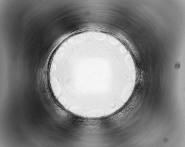 X0000103440836200810101103