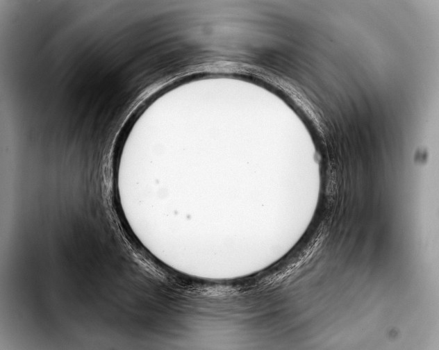 X0000103440837200810101103