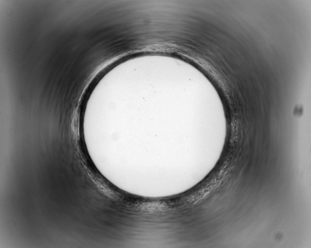 X0000103440838200810101103