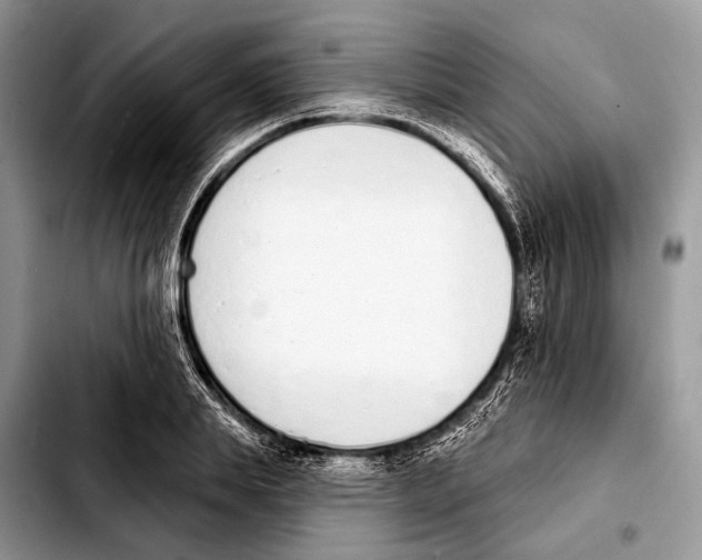 X0000103440839200810101103