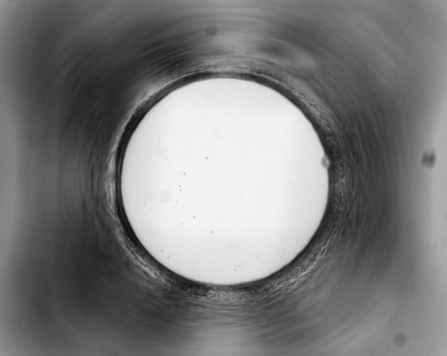 X0000103440840200810101103