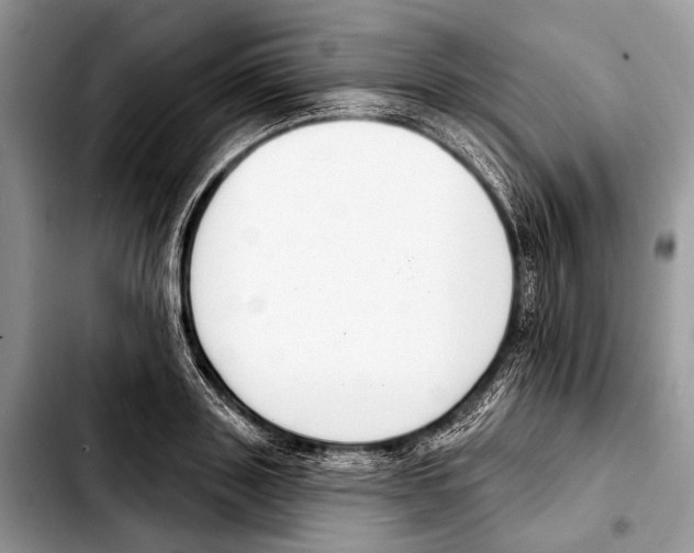 X0000103440843200810101103