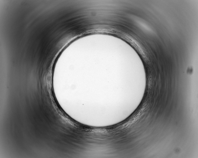 X0000103440844200810101103