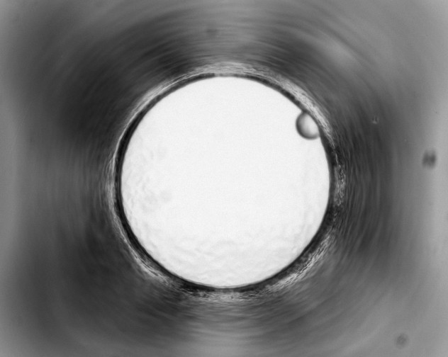 X0000103440845200810101103