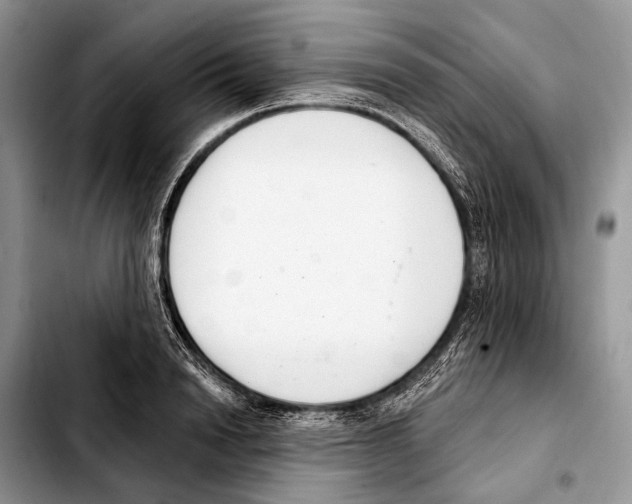 X0000103440846200810101103