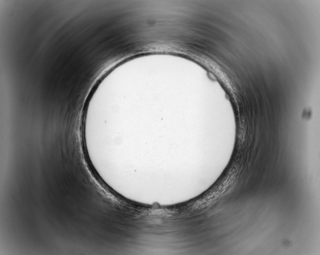 X0000103440847200810101103