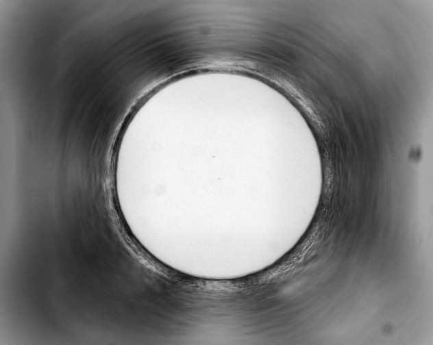 X0000103440848200810101103