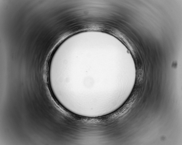 X0000103440851200810101103