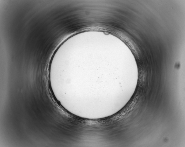 X0000103440852200810101103