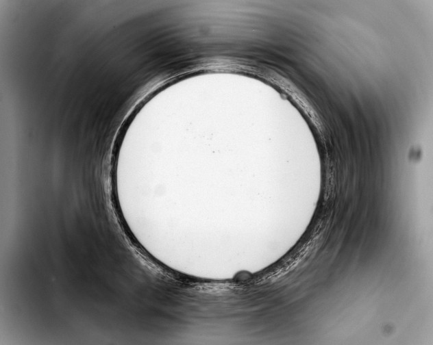 X0000103440853200810101103