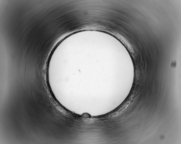 X0000103440854200810101103