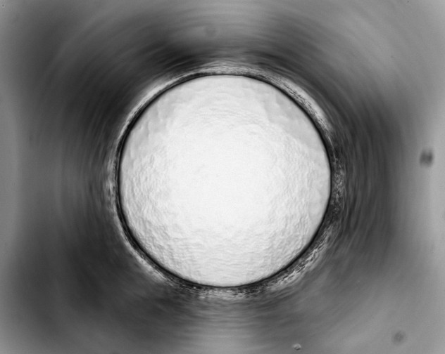 X0000103440855200810101103