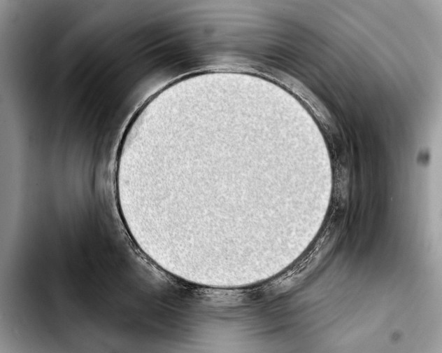 X0000103440856200810101103